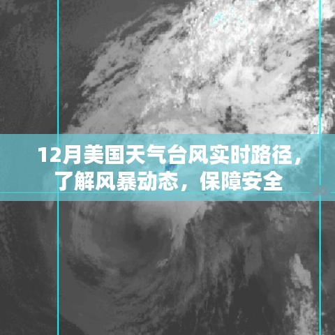 美国12月台风实时路径追踪，风暴动态与安全指南