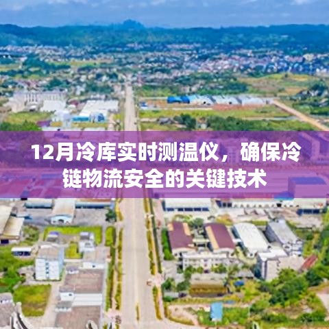 冷链物流安全的守护者，实时测温仪监控冷库温度