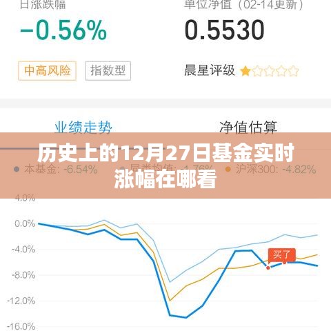 历史基金实时涨幅查询指南，如何查看基金在特定日期的表现