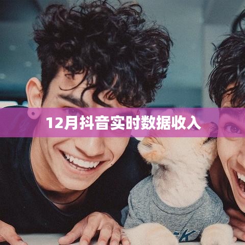 抖音实时数据收入揭秘，月入巅峰，揭秘背后的秘密