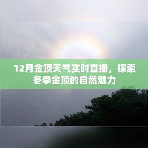 冬季金顶实时直播，探索自然魅力的绝佳之地