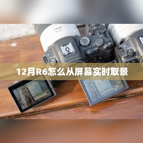案例展示 第174页