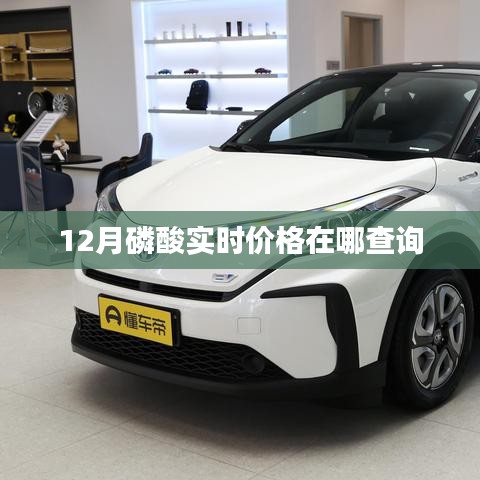 磷酸实时价格查询，最新市场走势分析