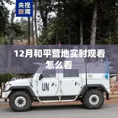 和平营地实时观看指南，12月观看教程