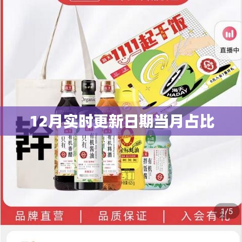 最新日期占比解析，12月实时更新数据报告