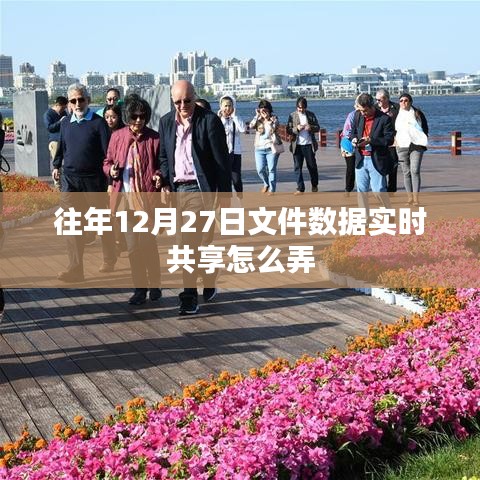 年终文件数据实时共享指南，如何操作往年12月27日文件数据共享