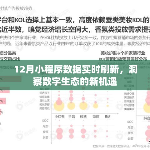 12月小程序数据实时刷新，数字生态新机遇洞察