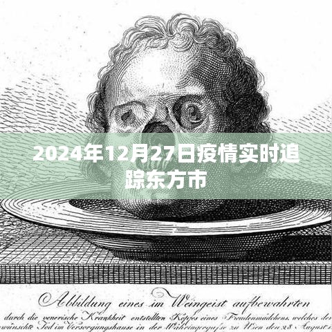 东方市疫情实时追踪报告，最新数据及分析