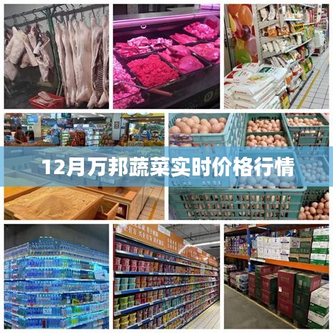 12月万邦蔬菜实时行情概览