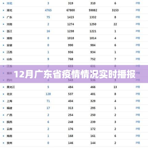 广东疫情实时播报，最新数据解读