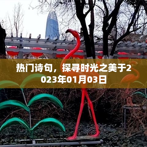 探寻时光之美，热门诗句赏析2023年1月3日