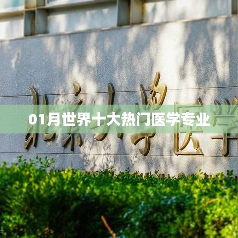 全球热门医学专业榜单揭晓，一月精选十大专业