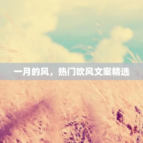 一月风情，精选热门吹风文案