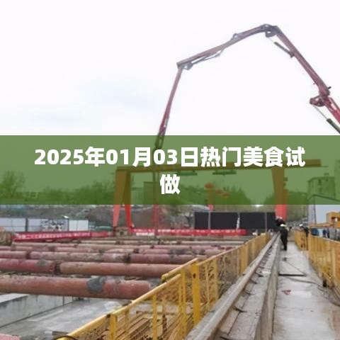 『2025年热门美食试做，尝鲜体验』