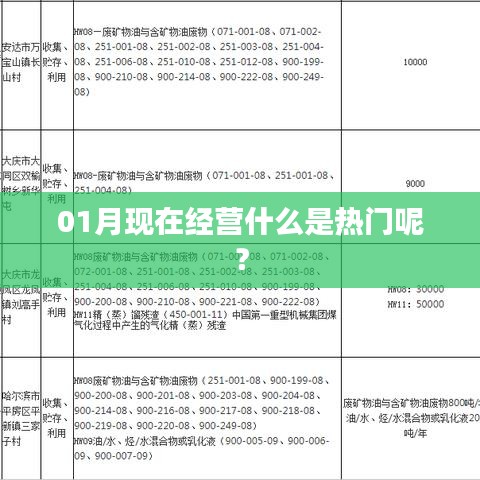 最新热门经营项目一月份解析