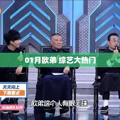 欧弟综艺大热门，精彩节目抢先看