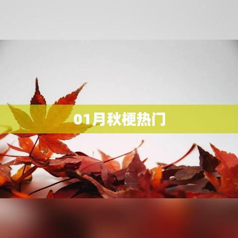 秋梗风潮，一月热议话题全解析