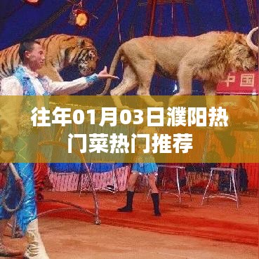 濮阳热门菜推荐，一月份必尝美食榜单