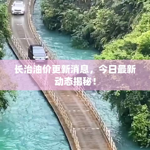 长治油价更新消息，今日最新动态揭秘！