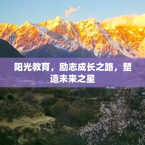 郑重其事 第2页