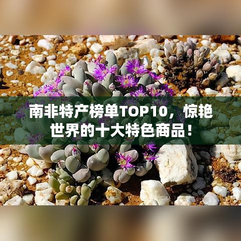南非特产榜单TOP10，惊艳世界的十大特色商品！