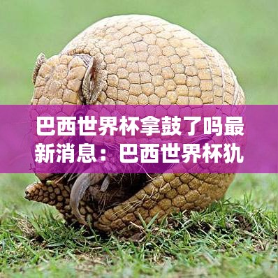 巴西世界杯拿鼓了吗最新消息：巴西世界杯犰狳 