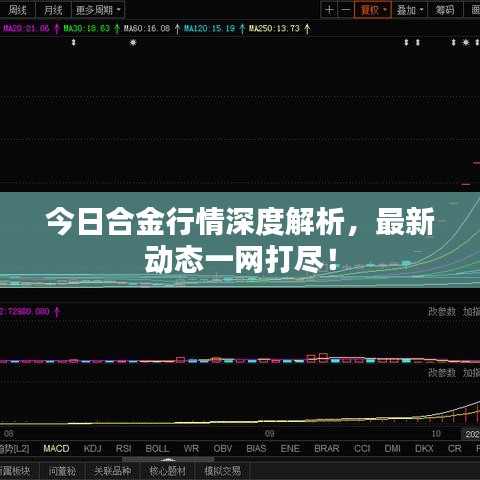 今日合金行情深度解析，最新动态一网打尽！