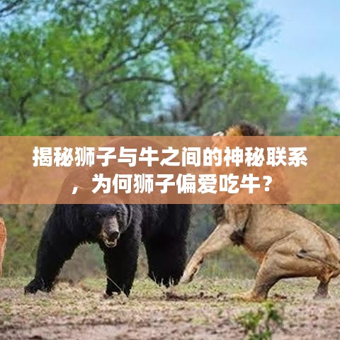 侃侃而谈 第2页