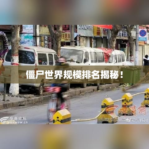 僵尸世界规模排名揭秘！