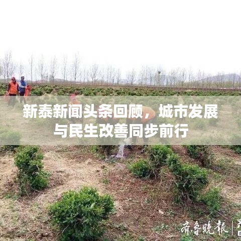 新泰新闻头条回顾，城市发展与民生改善同步前行