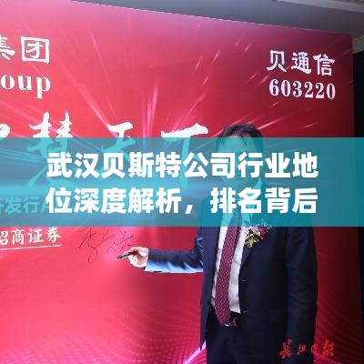 武汉贝斯特公司行业地位深度解析，排名背后的实力与策略观察