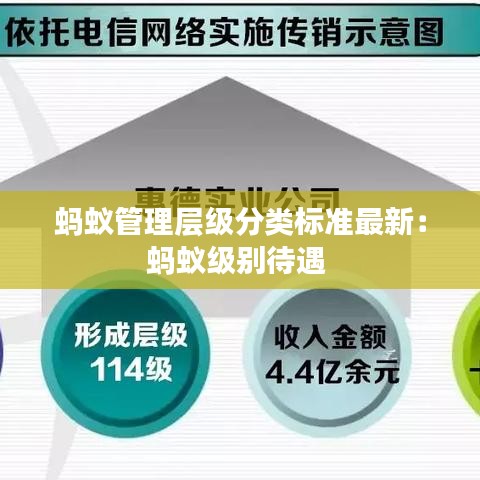 蚂蚁管理层级分类标准最新：蚂蚁级别待遇 