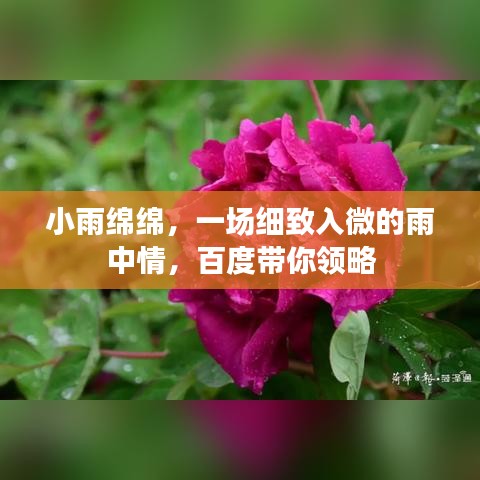 小雨绵绵，一场细致入微的雨中情，百度带你领略