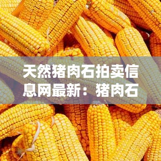 弃文就武 第3页