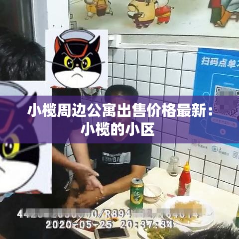 小榄周边公寓出售价格最新：小榄的小区 