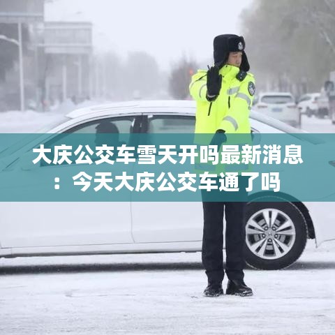 大庆公交车雪天开吗最新消息：今天大庆公交车通了吗 