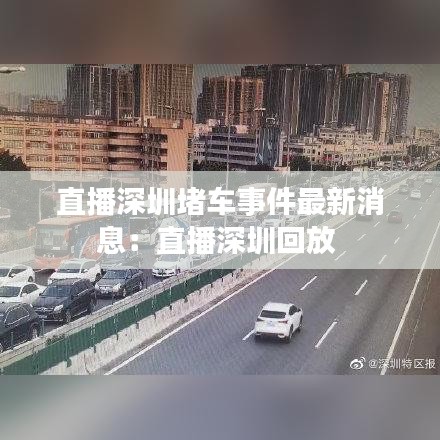 直播深圳堵车事件最新消息：直播深圳回放 