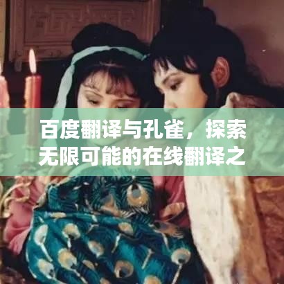 百度翻译与孔雀，探索无限可能的在线翻译之旅
