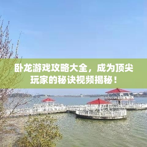 卧龙游戏攻略大全，成为顶尖玩家的秘诀视频揭秘！