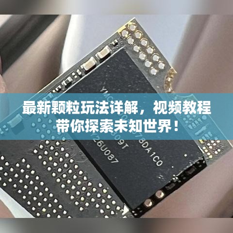 最新颗粒玩法详解，视频教程带你探索未知世界！