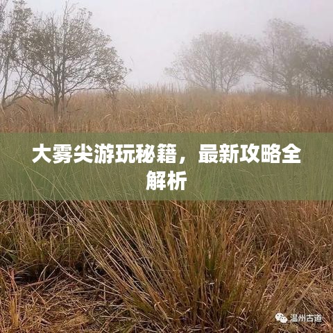 大雾尖游玩秘籍，最新攻略全解析