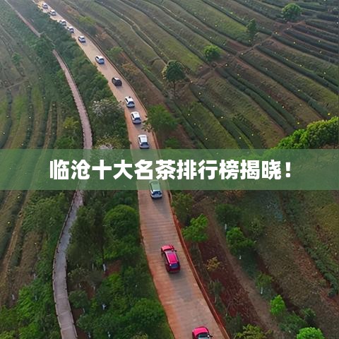 临沧十大名茶排行榜揭晓！