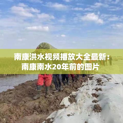 南康洪水视频播放大全最新：南康南水20年前的图片 