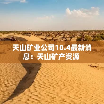 天山矿业公司10.4最新消息：天山矿产资源 