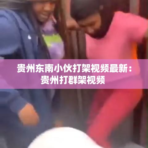 贵州东南小伙打架视频最新：贵州打群架视频 