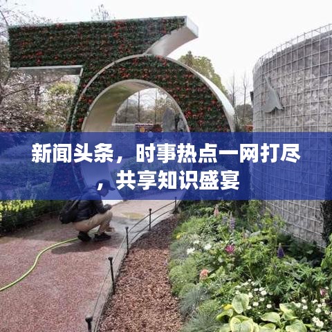 新闻头条，时事热点一网打尽，共享知识盛宴