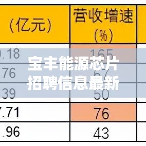 宝丰能源芯片招聘信息最新：宝丰能源公司未来前景如何 
