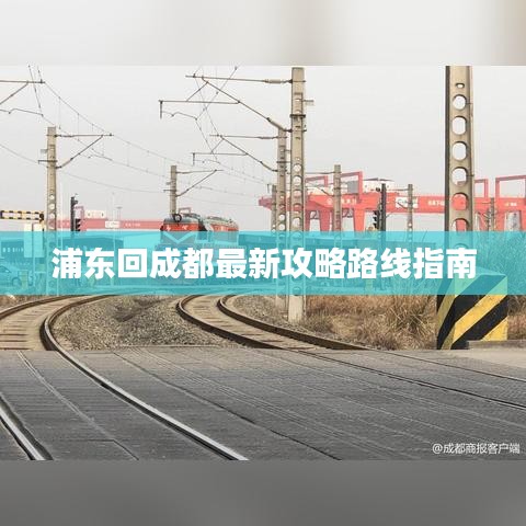 没张倒置 第2页