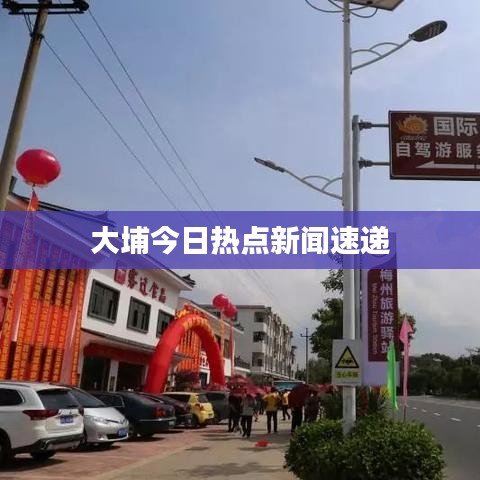 大埔今日热点新闻速递