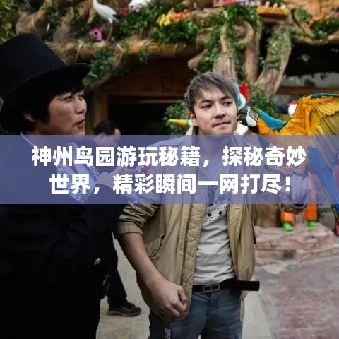 神州鸟园游玩秘籍，探秘奇妙世界，精彩瞬间一网打尽！
